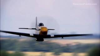 P51D Mustang quotFerocious Frankiequot [upl. by Allekim]