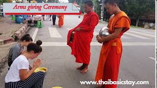 Alms giving ceremony Chiang Mai Thailand [upl. by Ruffi962]