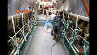 Une salle de traite 2x8 pour traire 80 vaches en 1 heure  GEA DairyParlor P7550 [upl. by Hamid]