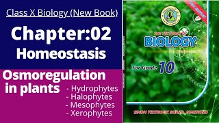 Ch2 Homeostasis  Osmotic adjustment in plants  class 10 new biology book  Sindh textbook board [upl. by Travers]