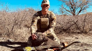 Arizona Javelina with a Recurve [upl. by Fafa977]