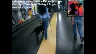 COL CANE GUIDA IN METRO A ROMA entrata [upl. by Fernyak]