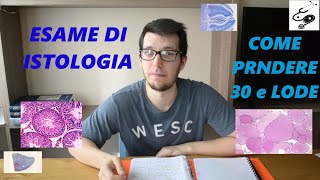 COME SUPERARE lESAME di ISTOLOGIA  facoltà di medicina  Padova [upl. by Aneekal]