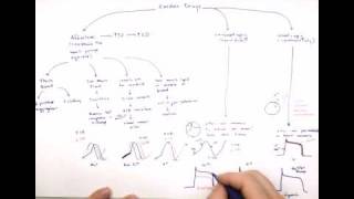 Cardiac Drugs Part 3 Inotropic Drugs [upl. by Osmund]