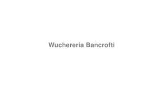 How to Pronounce quotWuchereria Bancroftiquot [upl. by Squire813]