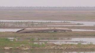 China News Live  Dam Break In China Live  Dam Collapses In China Live  Dam Breaks In China  N18G [upl. by Iztim]