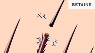 Difference between Betaine and Cocamidopropyl Betaine CAPB [upl. by Oirretna]