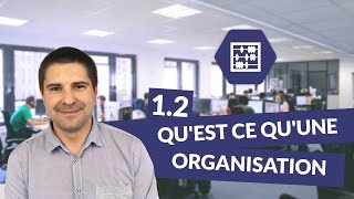 Chapitre 1  Quest ce quune organisation 23  Management Bac STMG  digiSchool [upl. by Sahc]