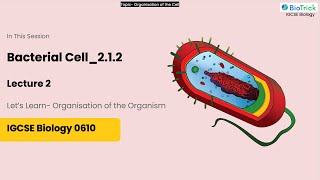 Bacterial Cell Features  Organisation of the Organism  IGCSE Biology 0610 O Level amp A Level  CAIE [upl. by Eillib]