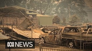 Family film their return to bushfireburned Conjola Park  ABC News [upl. by Vlada]