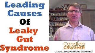 What Are The Causes Of Leaky Gut Syndrome [upl. by Mattah]