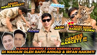 3 ANAK HARIMAU BERSAUDARA INI MEMILIKI WARNA YANG BERBEDA BEDA  ADA YANG MIRIP TEONA [upl. by Nelleus]