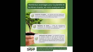 Quest ce que la biodiversité [upl. by Jerrilyn]