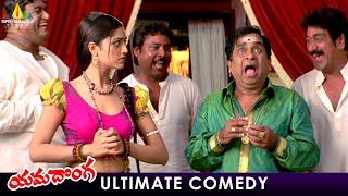 Brahmanandam amp Mamta Mohandas Ultimate Comedy  Yamadonga Telugu Movie Scenes  Jr NTR Rajamouli [upl. by Mascia]