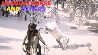 RED DEAD REDEMTION 2 NEW ARABIAN HORSE AND OTHER HORSES TO WALKTHROUGH GAMEPLAYrdr2 [upl. by Ocisnarf79]