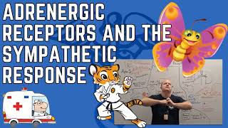 Adrenergic Receptors Explained Alpha and Beta Receptor Functions [upl. by Yanej]