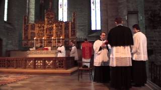 Traditional Latin Mass  Vadstena Pilgrimage 2013III [upl. by Louisette]