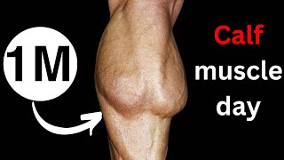 how to train calves at home  best calf exercises at home💥 [upl. by Ahsinrad778]