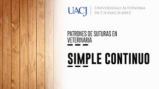 Patrones de sutura en veterinaria Simple Continuo 2 [upl. by Navak]