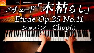 【感謝！150万人】ショパン「木枯らし」エチュード  Chopin  Etude Op25 No11 “Winter Wind” CANACANA [upl. by Adnohsar481]