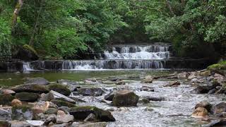 Nature Sounds Forest WaterfallCalming Water Sound for SleepingRelaxing Birds Chirping Meditation [upl. by Aizatsana]