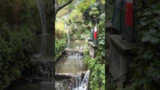 Positano Italy 🇮🇹 amalficoast travelvlog roadside nature [upl. by Kappel]