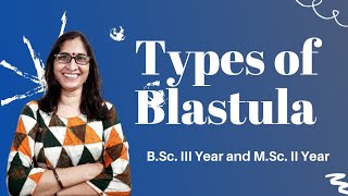 Types of Blastula NEET BSc IIIYear and MSc llYear  Dr Ranjana Gupta [upl. by Ydda]