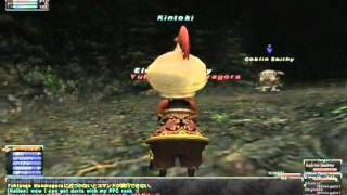 FFXI Accounts  Leveling Up Guard Skill Guide [upl. by Adriel]