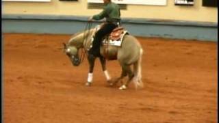 Tinsel Jac 2008 NRHA Derby [upl. by Dehsar]