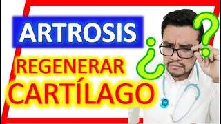 💥ARTROSIS DE RODILLA 👀¿Cómo REGENERAR el CARTILAGO ⚠️se puede REGENERAR⚠️ treatment knee [upl. by Ientirb474]