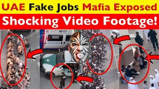 UAEs FAKE JOB MAFIA EXPOSED Unseen Video Footage Of UAE Scammers Cybercrime Crackdown Video 7625 [upl. by Malcolm53]