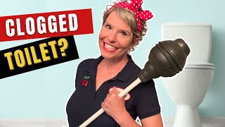 HOW TO USE A KORKY amp BEEHIVE PLUNGER CORRECTLY  Select the Best Plunger for a Clogged Toilet [upl. by Pavlov]