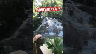 Dunn’s River Falls  Jamaica 🇯🇲 [upl. by Ehman]