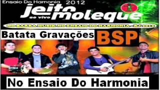 Jeito Moleque Ao Vivo No Ensaio Do Harmonia RJ BSP [upl. by Haidebez227]