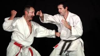 Karate Shotokan Bunkai  Bernard Bilicki sensei volume 1 [upl. by Leyameg647]