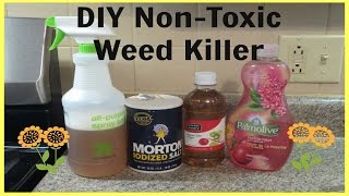 DIY NonToxic Weed Killer  Quick amp Super Easy [upl. by Sert]