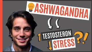 ❌ASHWAGANDHA  Der 1 natürliche TestosteronBooster 2021 [upl. by Warga779]