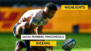 Sacha Feinberg Mngomezulu Brilliant Kicks  Springboks vs Wales Rugby Highlights 2024 Championship [upl. by Hceicjow]