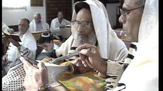 The Spielberg Jewish Film Archive  Yemen Music of the Yemenite Jews English [upl. by Anaynek]