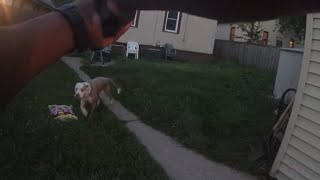 Newly Released Graphic Bodycam Video Shows Cop Shooting Dogs [upl. by Aixela]