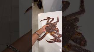 Buying Norwegian King Crab [upl. by Ertha]