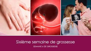 6 semaines de grossesse OU sixième semaine de grossesse [upl. by Ihsorih641]