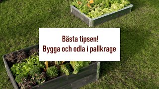 Bästa tipsen för att bygga och odla i pallkrage [upl. by Nailil]