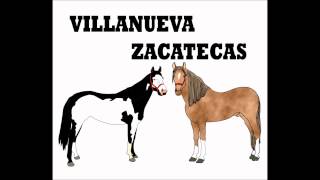 Corridos de Caballos Zacatecanos [upl. by Alansen]