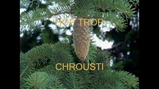 HOP TROP CHROUSTI [upl. by Ryter]