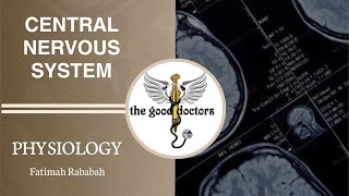 Lecture 2  Cerebral blood flow  Physiology CNS [upl. by Eimile]