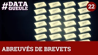 Abreuvés de brevets  DATAGUEULE 22 [upl. by Notecnirp]