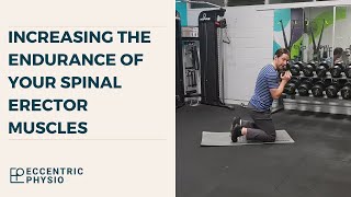 Increasing the endurance of your erector spinae muscles  The MSK Physio [upl. by Uol]