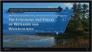 Wetland Functions amp Values Chapter 1 Introduction [upl. by Omrellig]