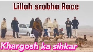 Dog Race Khargosh Ka Sihkar 2024  Greyhounds vs Hare Racing  Open Race parhalsihkaarclub3690 [upl. by Gefen270]